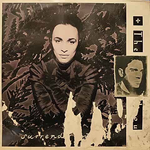 The Daou – Surrender Yourself LP PLAK