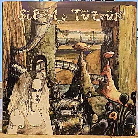 Sibel Tüzün – Hayat Buysa Ben Yokum Bu Yolda LP PLAK