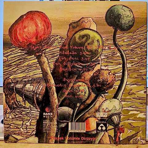 Sibel Tüzün – Hayat Buysa Ben Yokum Bu Yolda LP PLAK