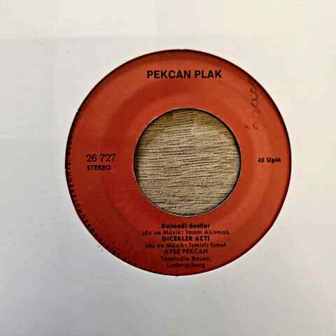 Ayse Pekcan – Güzel Oglan Yaramaz Kiz / Kalmadi Dostlar - Cicekler Acti 45LİK PLAK