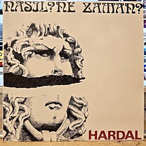Hardal – Nasıl? Ne Zaman? LP PLAK