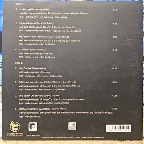 Emin Fındıkoğlu + 12 Concision LP PLAK