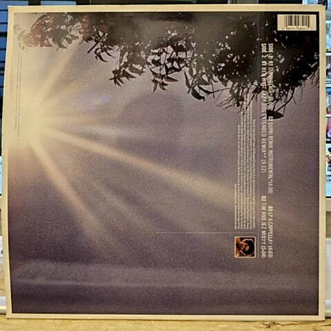 Maxwell – Lifetime LP PLAK